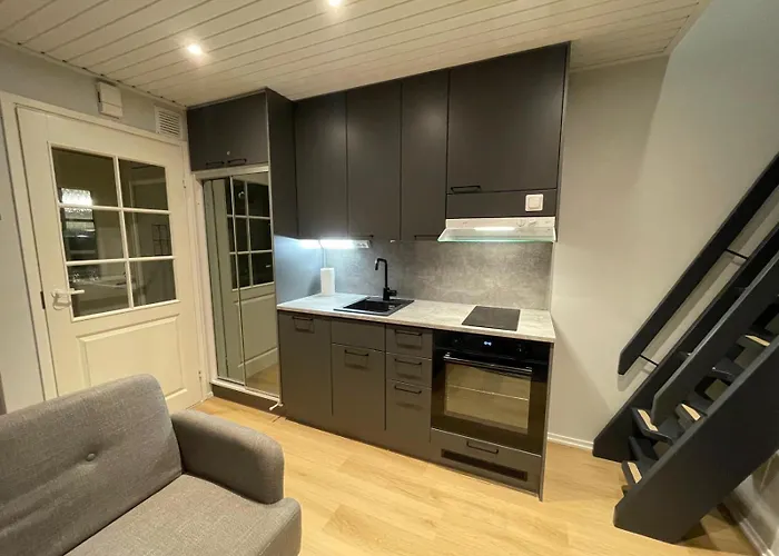 Levi Centre Moonlight With Sauna 415 *